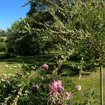 Vendégház Chambres D'hotes Manoir Des Tourneurs